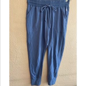 Free People Slate Blue Sweat Pants